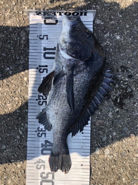 イチノ兄弟、釣果！