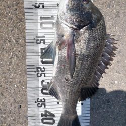 イチノ兄弟、釣果！