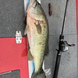 北山田67.5cm 6000g+55cm