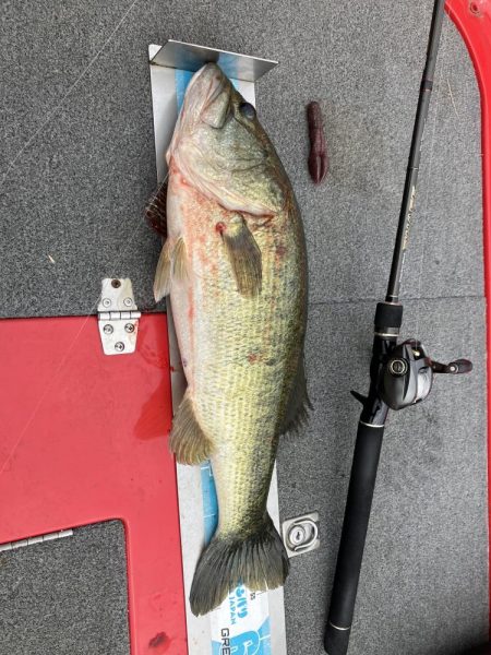 北山田67.5cm 6000g+55cm