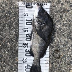 イチノ兄弟、釣果！