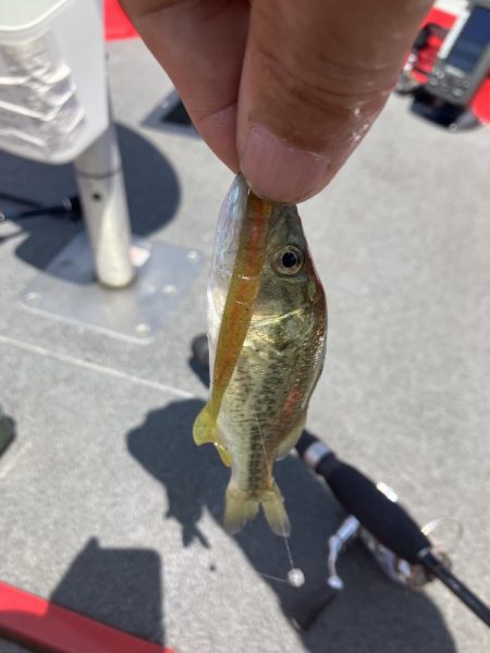 北山田小バスだらけ