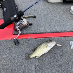 北山田小バス祭り