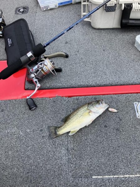 北山田小バス祭り