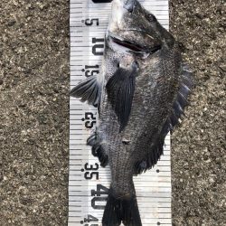 イチノ兄弟、釣果!