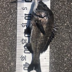 イチノ兄弟、釣果！