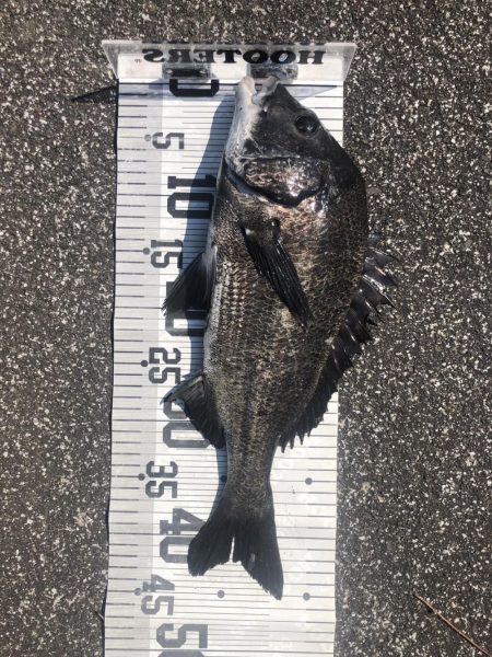 イチノ兄弟、釣果！