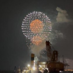 シーサイドコスモ調査