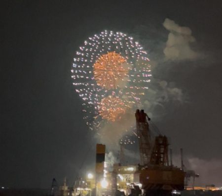 シーサイドコスモ調査