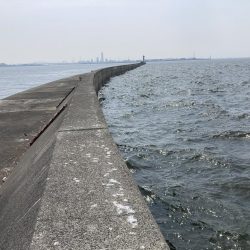 フジツボ•カニで2枚