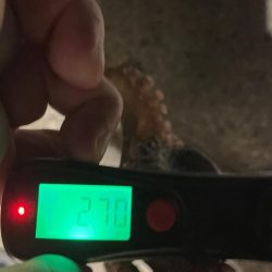 初めてのサイズ！