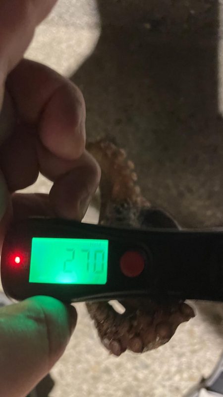 初めてのサイズ！