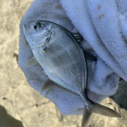 メッキサイズアップ!