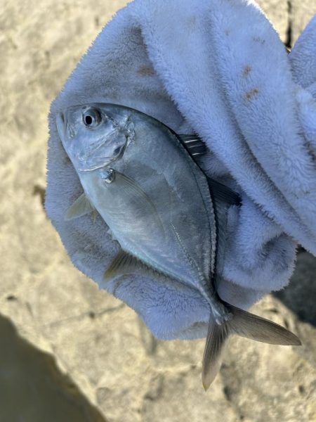 メッキサイズアップ!