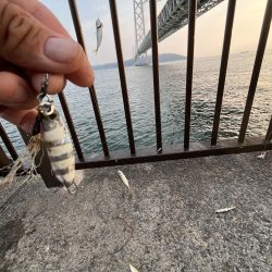 久しぶりの太刀