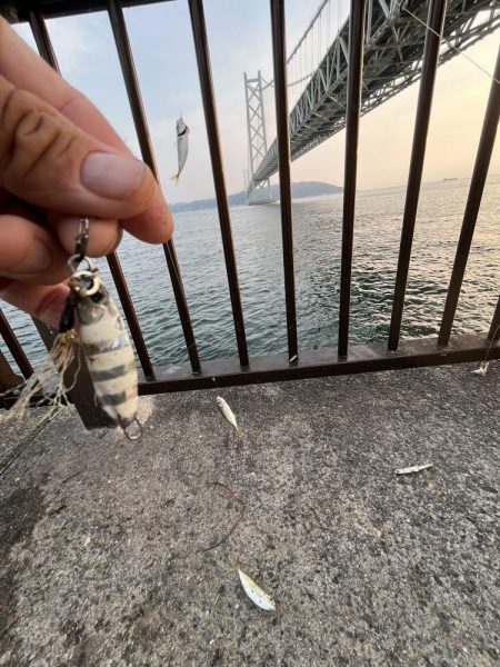 久しぶりの太刀