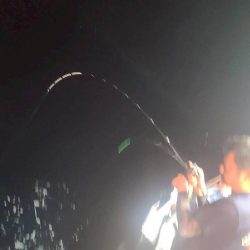 和歌山県白浜沖でイカメタル