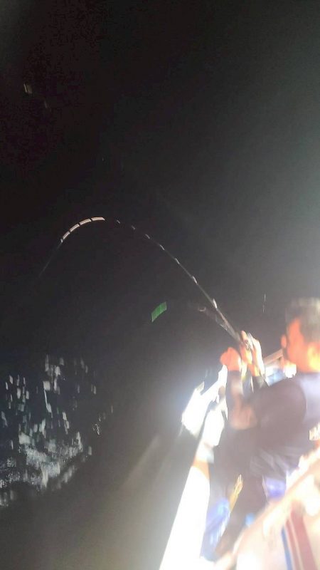 和歌山県白浜沖でイカメタル