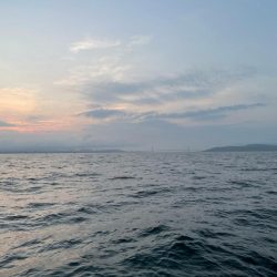 今シーズン最後のマダコ釣り