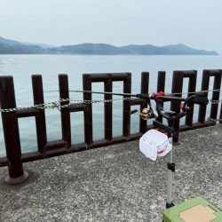 久しぶりのフカセ釣り