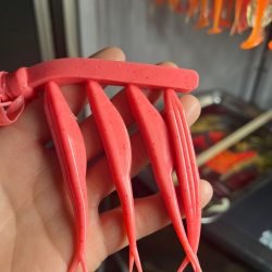 フラットフィッシュ