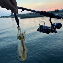 イカ1時間青物1時間その後はポツポツ