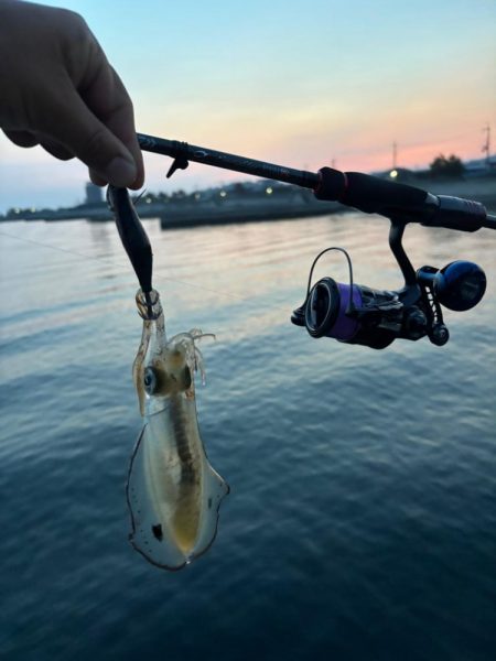 イカ1時間青物1時間その後はポツポツ