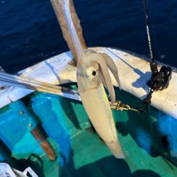 和歌山イカメタル