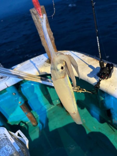 和歌山イカメタル