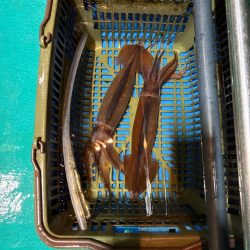 イカメタル5回目初大剣‼️