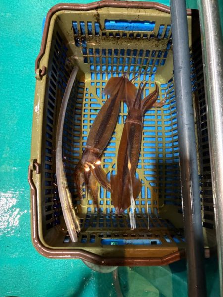 イカメタル5回目初大剣‼️