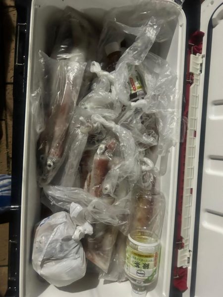 デカイカばっか