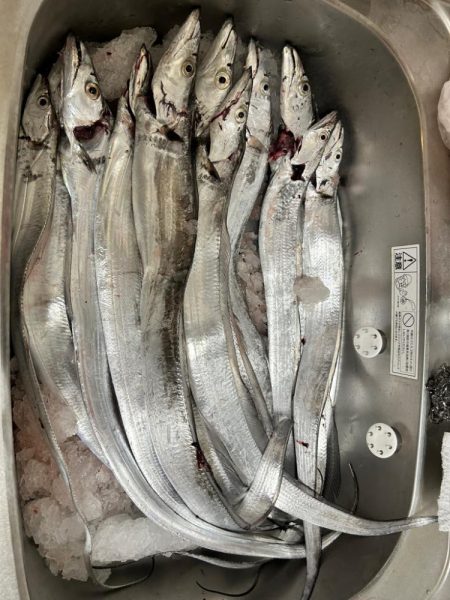 博多湾夏の風物詩