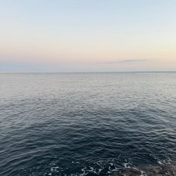 外道でしたが、、