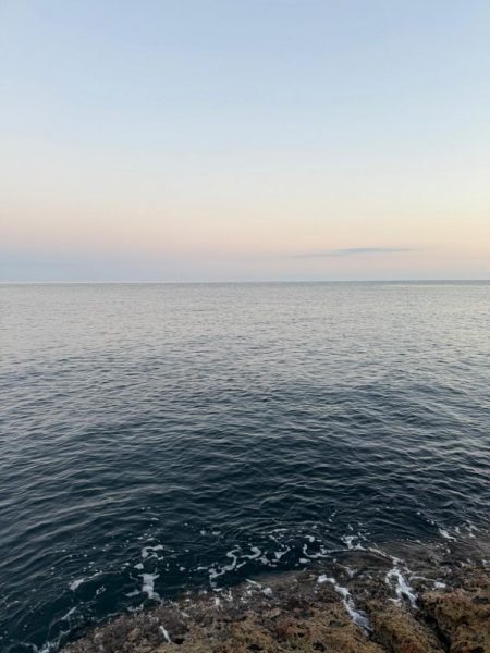 外道でしたが、、