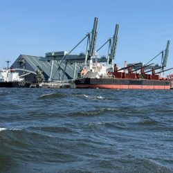 東京湾エギタコ