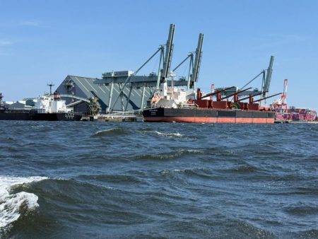 東京湾エギタコ