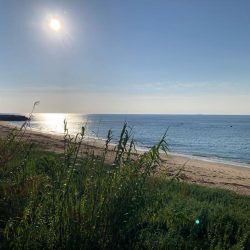 淡路マアジ〜シロギス