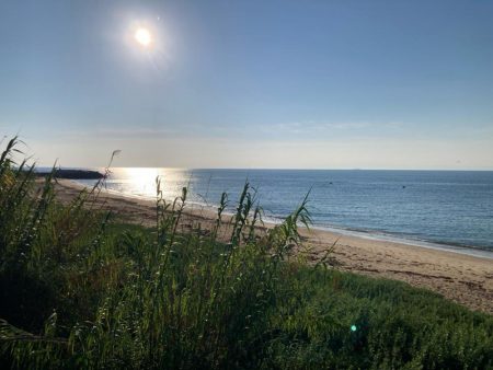 淡路マアジ〜シロギス