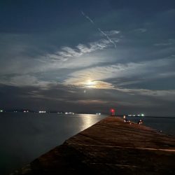 やっぱりチュパゾーいいね!