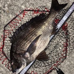 ヘチってきました