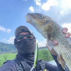 日野川アユイングに挑戦!