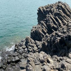 キジハタゲーム