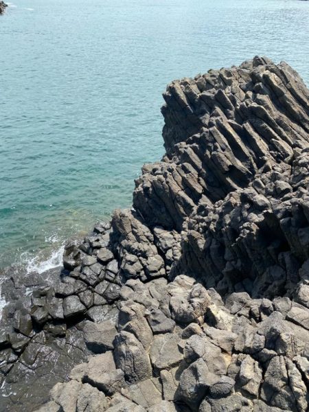 キジハタゲーム