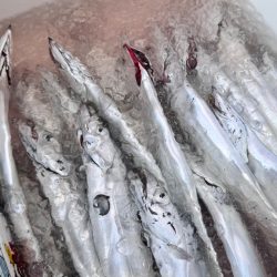 タチウオ/タチウオジギング