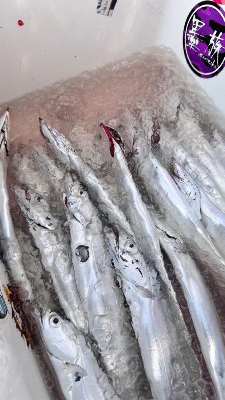 タチウオ/タチウオジギング