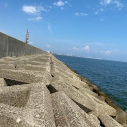 チャリコギスタ