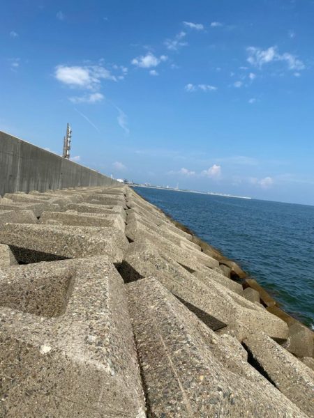 チャリコギスタ