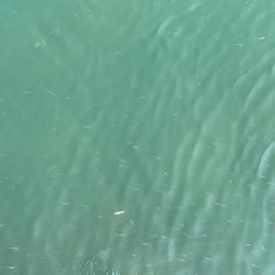 エギング2時間青物2時間