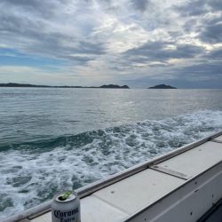 玄界灘イカメタル